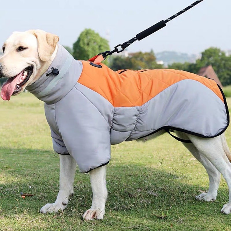 Insulated Winter Coat for Large Dogs with Waterproof Shell
