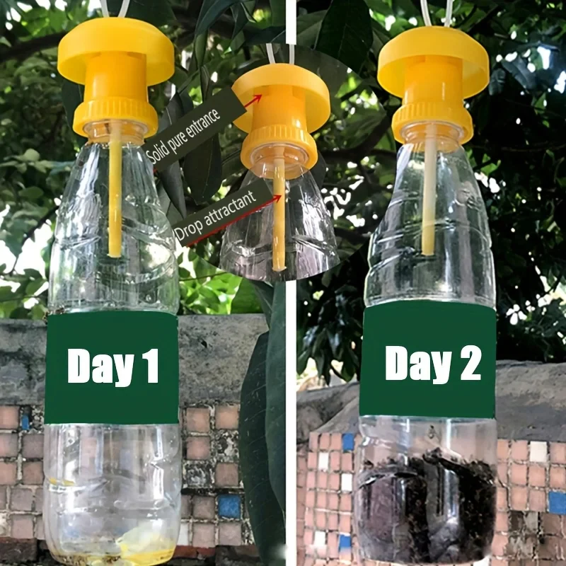 Hanging Cover Fruit Fly Trap