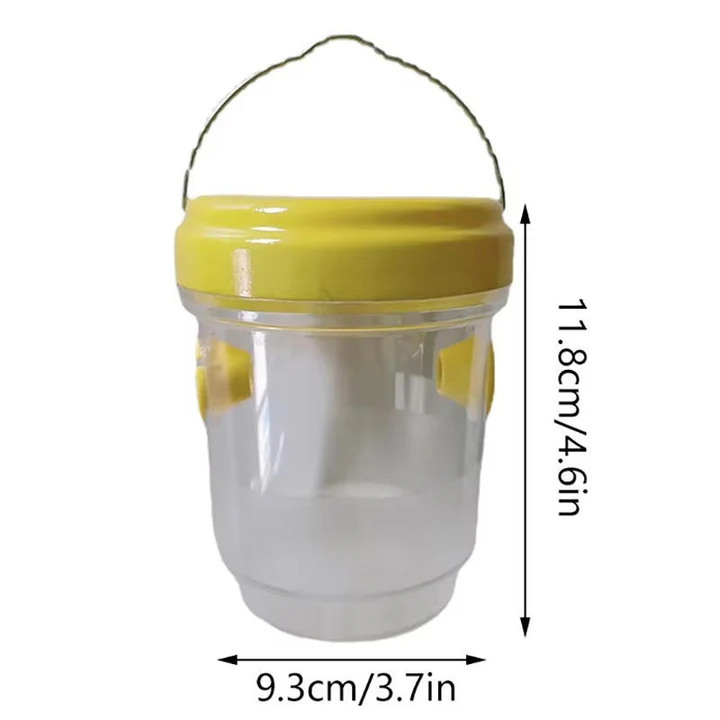Fruit Fly Traps for Insects