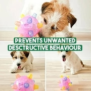 Jumping Activation Ball for Dogs – New Interactive Toy