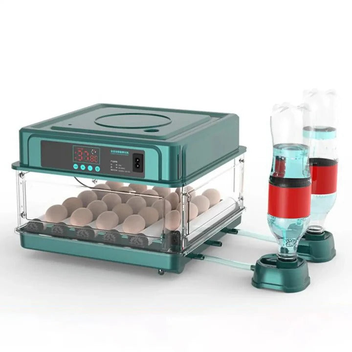 Digital Egg Incubator with Adjustable Tray for Hatching Eggs