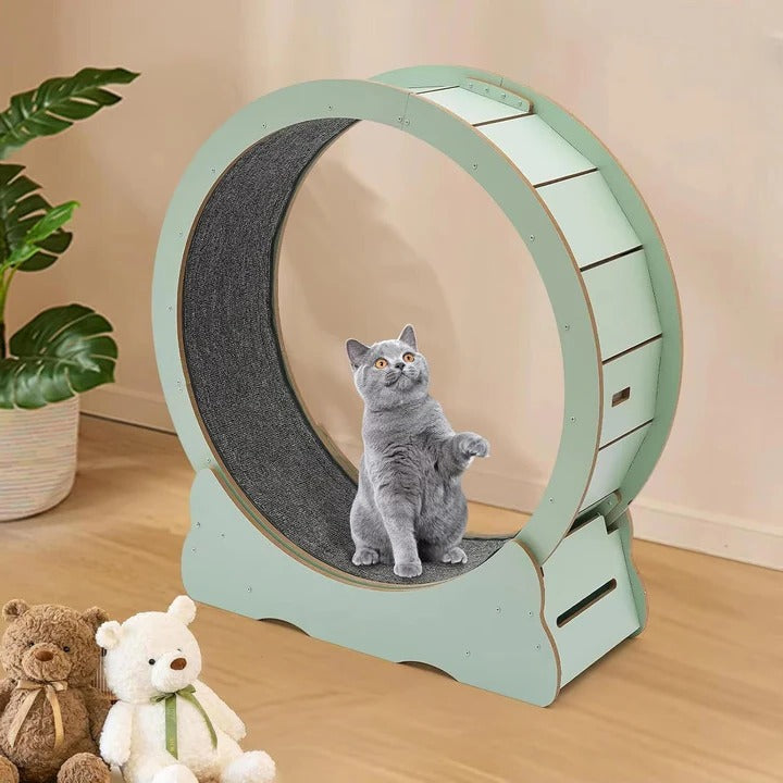 Cat Fitness Wheel for Exercise and Play