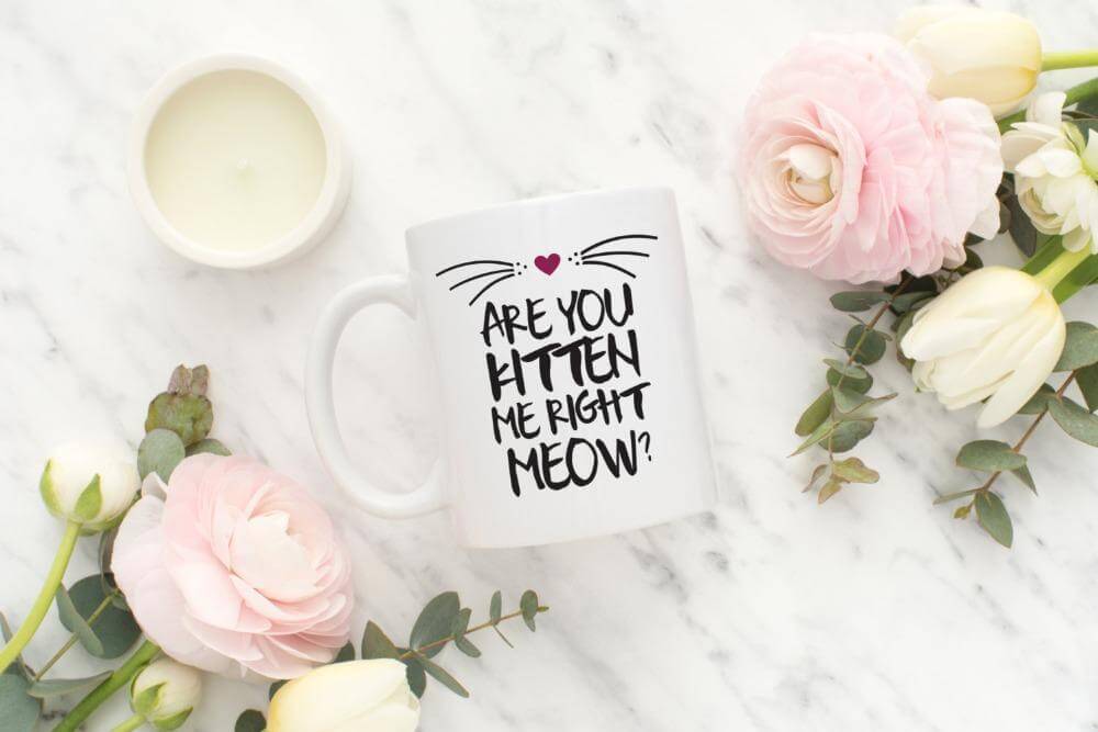 Are You Kitten Me Right Now? Ceramic Coffee Mug