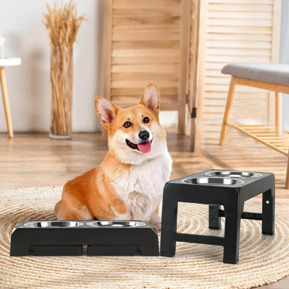 Elevated Dog Bowl for Healthy Meals – Ergonomic Slow Feeder