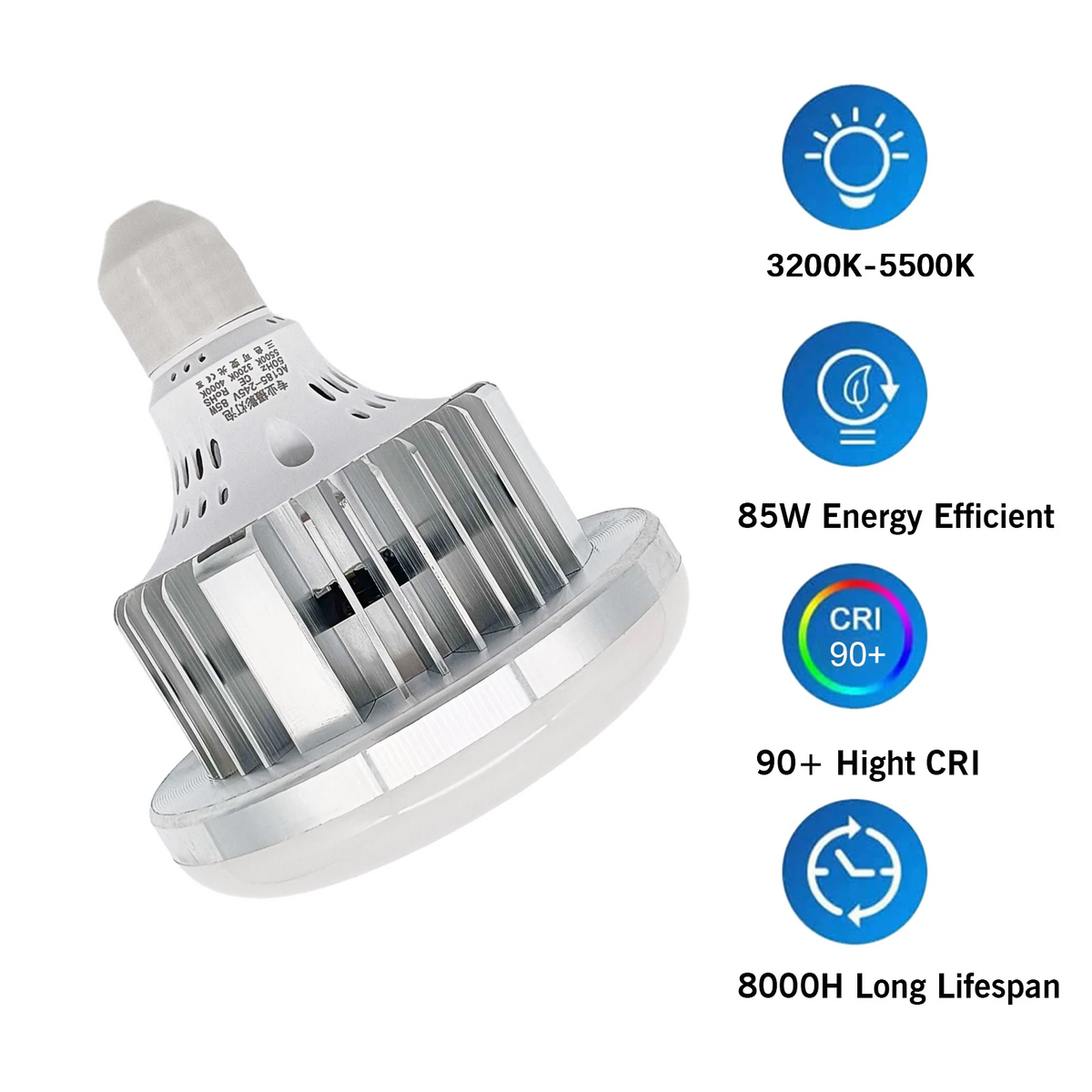 Lighting Bulb for Photography