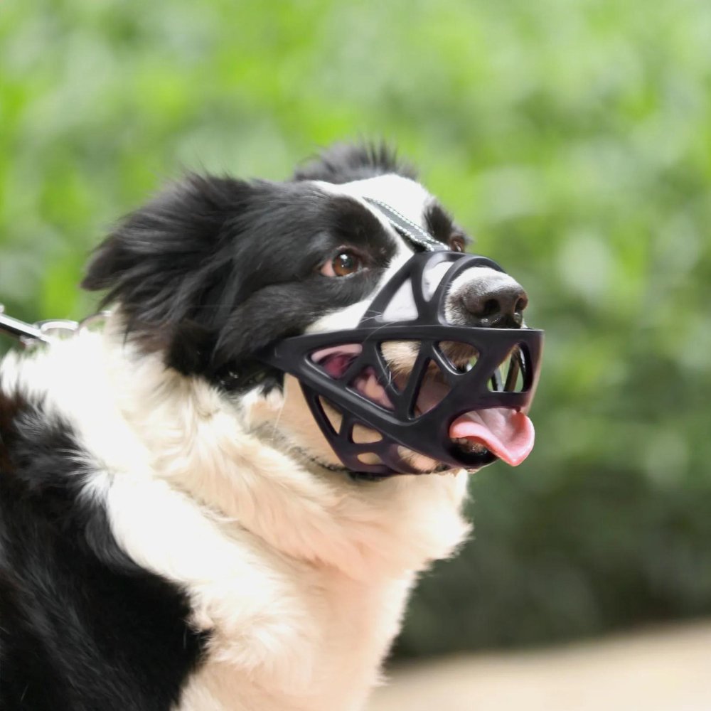 Dog Muzzle for Safety and Comfort