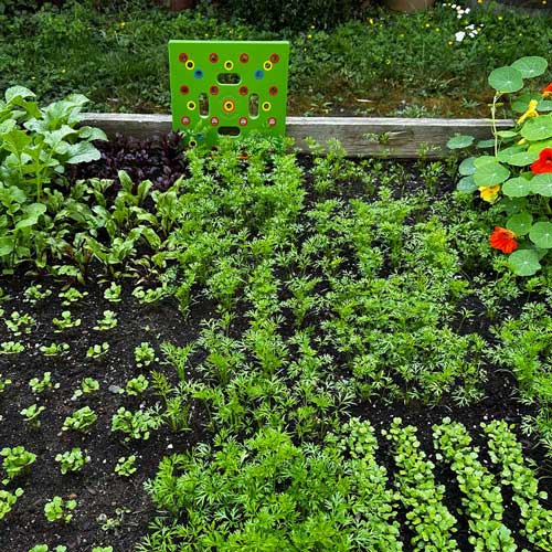 Effortless Square Planter for a Thriving Garden