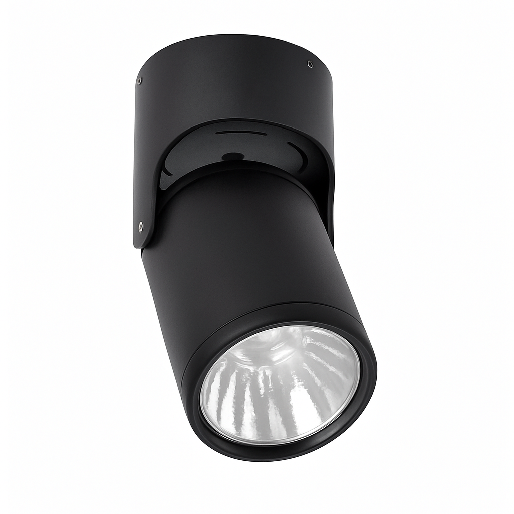 Directional LED Spotlight (black or white)