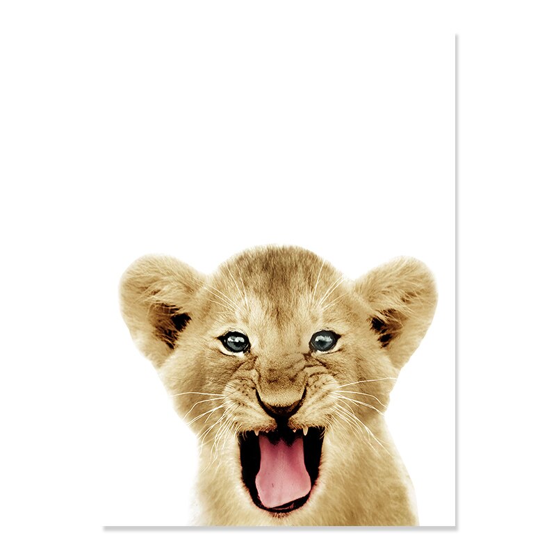 Canvas Print of Black and White African Lion Wall Art