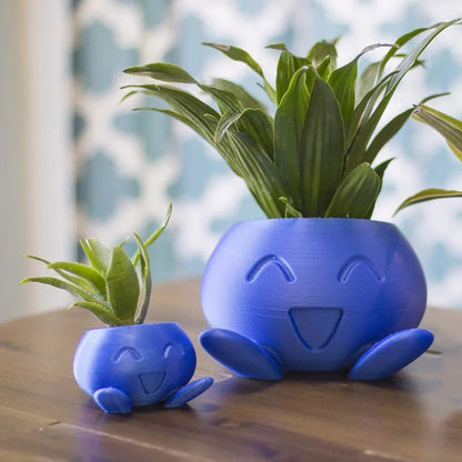 Brighten Any Room with Fun and Healthy Plant Display