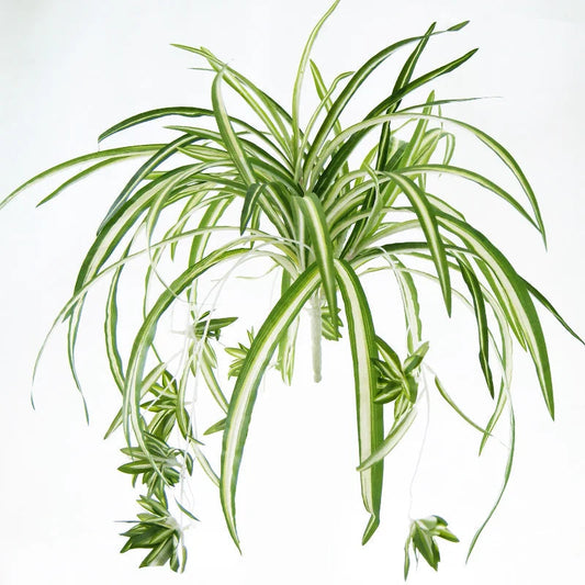 65 cm Artificial Chlorophytum Plant | Wall-Mounted PVC Decor for Living Room & Weddings