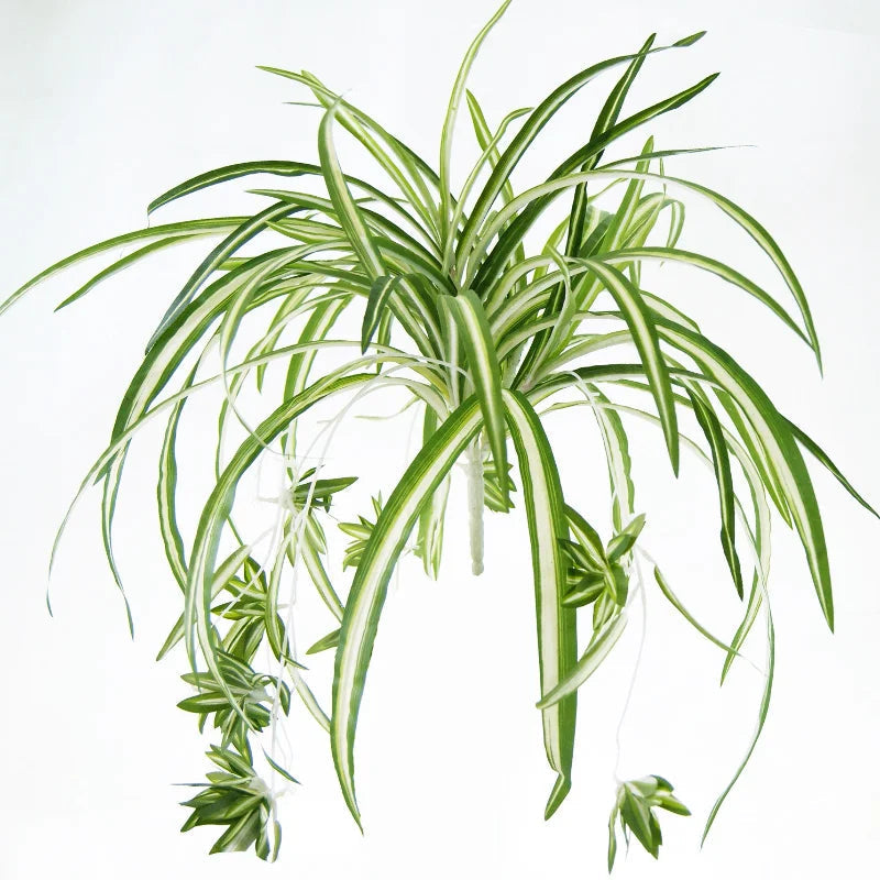 Artificial Chlorophytum Plant | 65 cm | Wall-Mounted | PVC Decoration for Living Room & Wedding