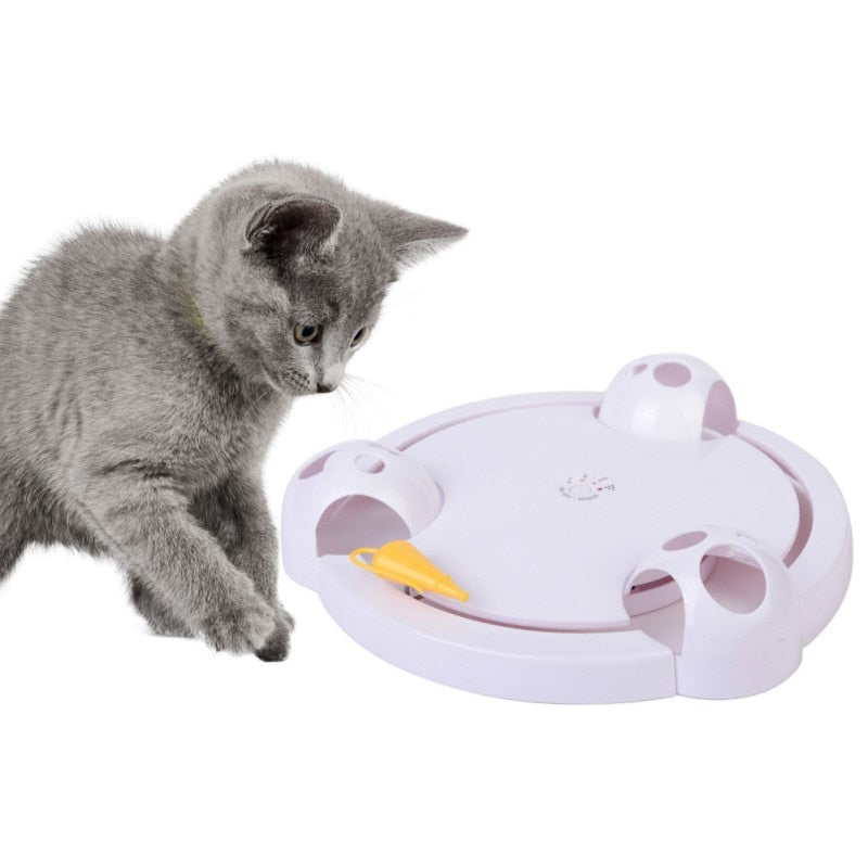Keep Your Pet Active, Engaged, and Entertained All Day