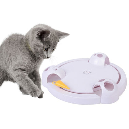 Keep Your Pet Active, Engaged, and Entertained All Day
