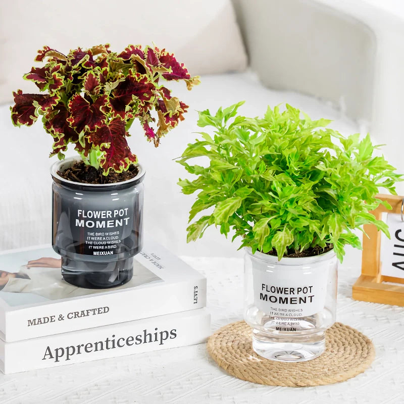 Effortless Watering System for Succulents - Aqua Planter