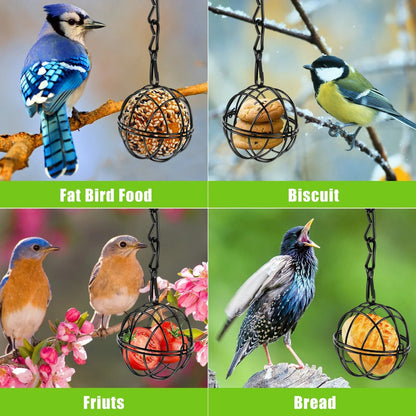 Bird Food Ball Set with Metal Chain | Pack of 4 | Iron | Diameter 7 cm