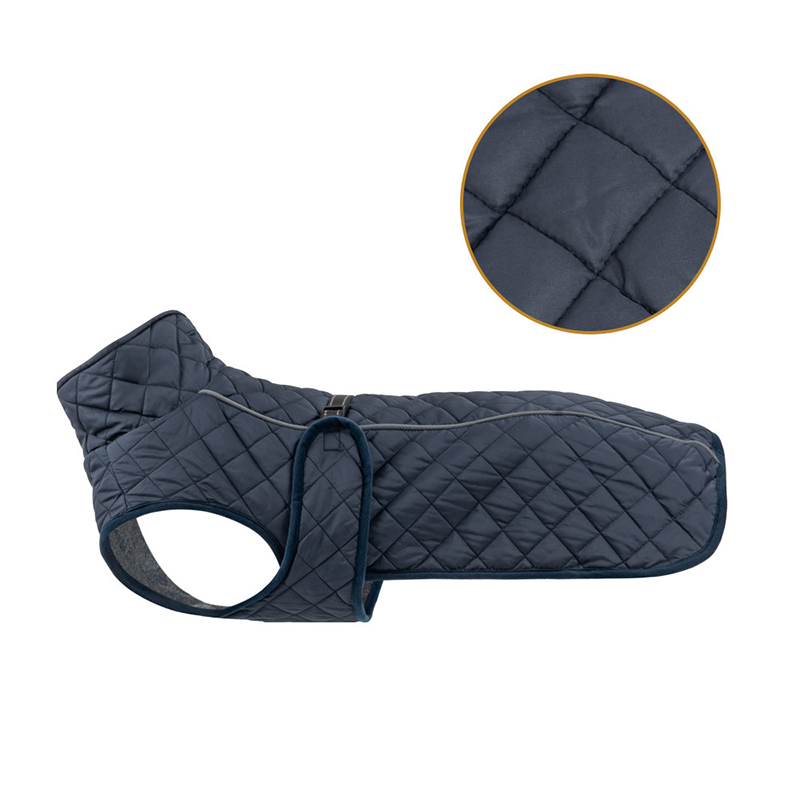 Keep Your Dog Warm and Visible During Every Walk