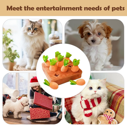Calm and Focused Dog Toy for Hours of Happy Play
