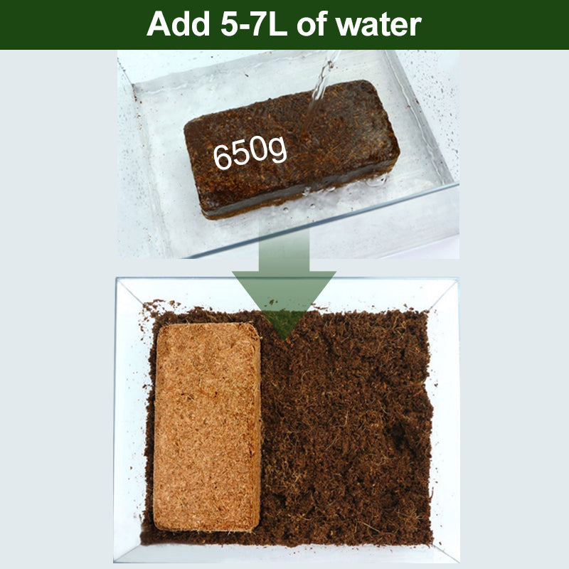 Prevents Moisture Loss and Effortlessly Supports Plant Growth