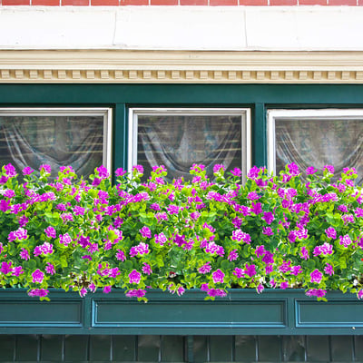 Get 2 Free | Natural-Looking Flowers with No Maintenance Required