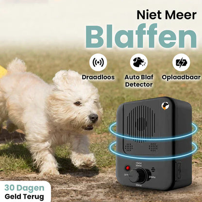 Pain-Free Bark Control Device for Dogs | Effective Bark Prevention System for a Peaceful Environment