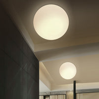 Diameter 14 cm (5.5 in)