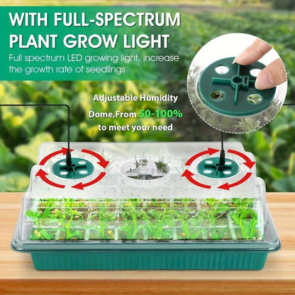 Quick and Robust Seedlings with Ideal Light and Moisture