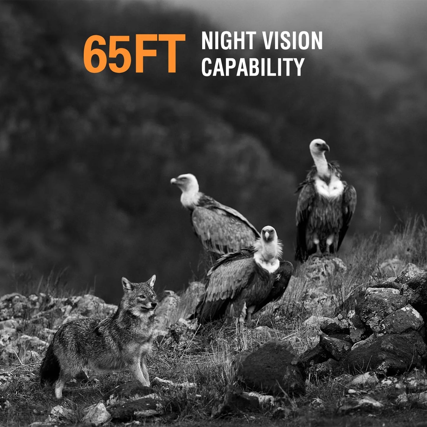 Version 3 of Wildsnap
