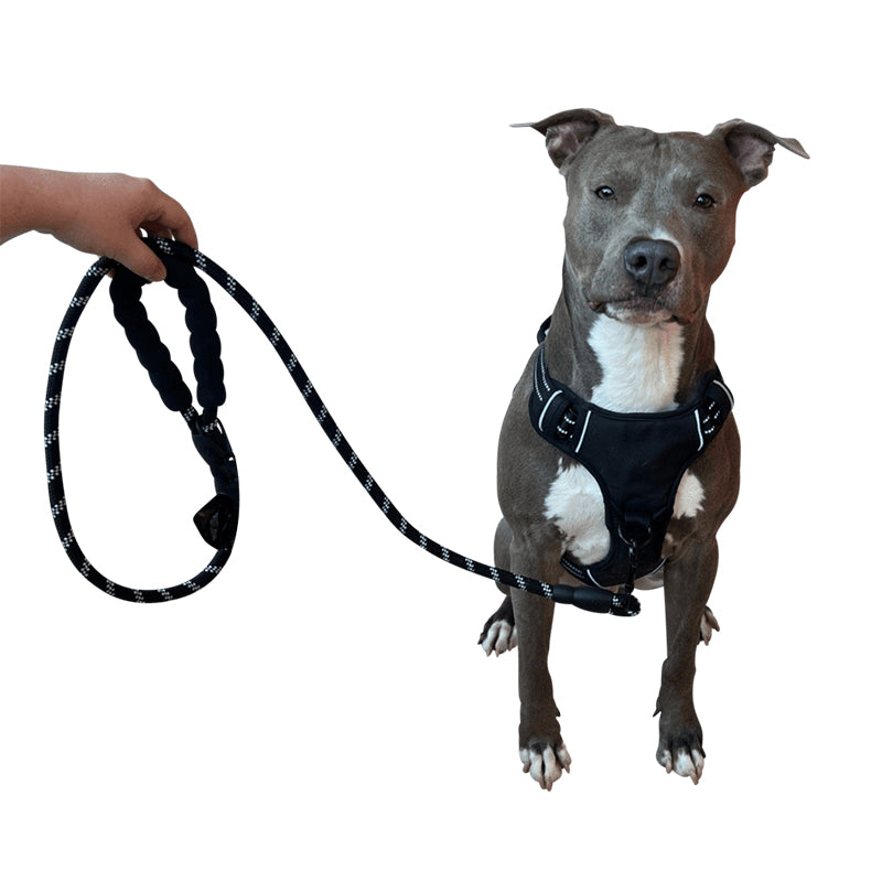Ultimate 3-in-1 Dog Walking Solution | PupEase