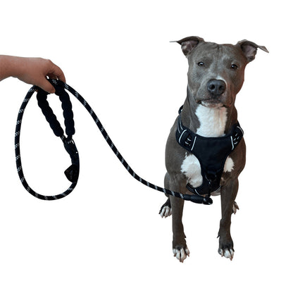 Ultimate 3-in-1 Dog Walking Solution | PupEase