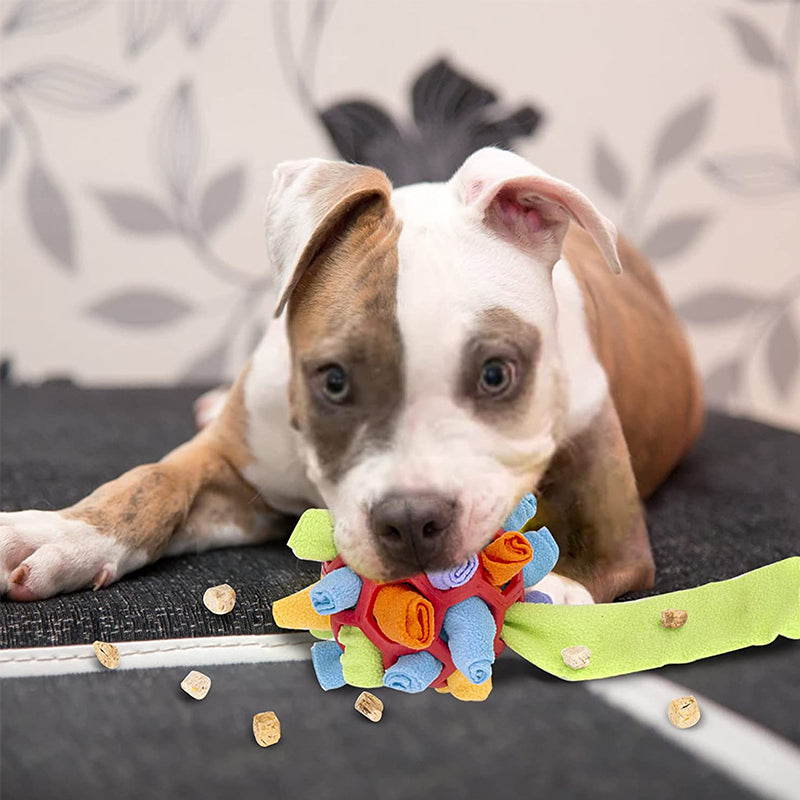 Chew Toy for Dogs