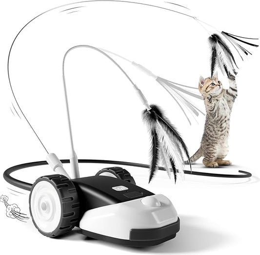 Cat Activity Toy – Keeps Your Feline Engaged and Entertained