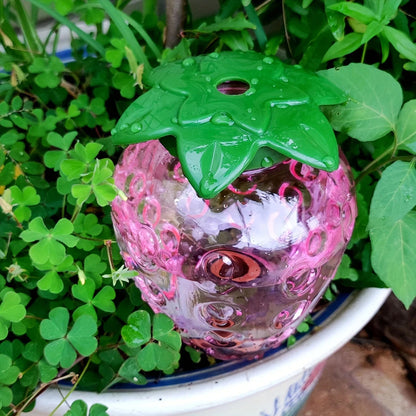 Automatic Plant Drip Irrigation Dispenser Set | 2 Pieces | 500 ml