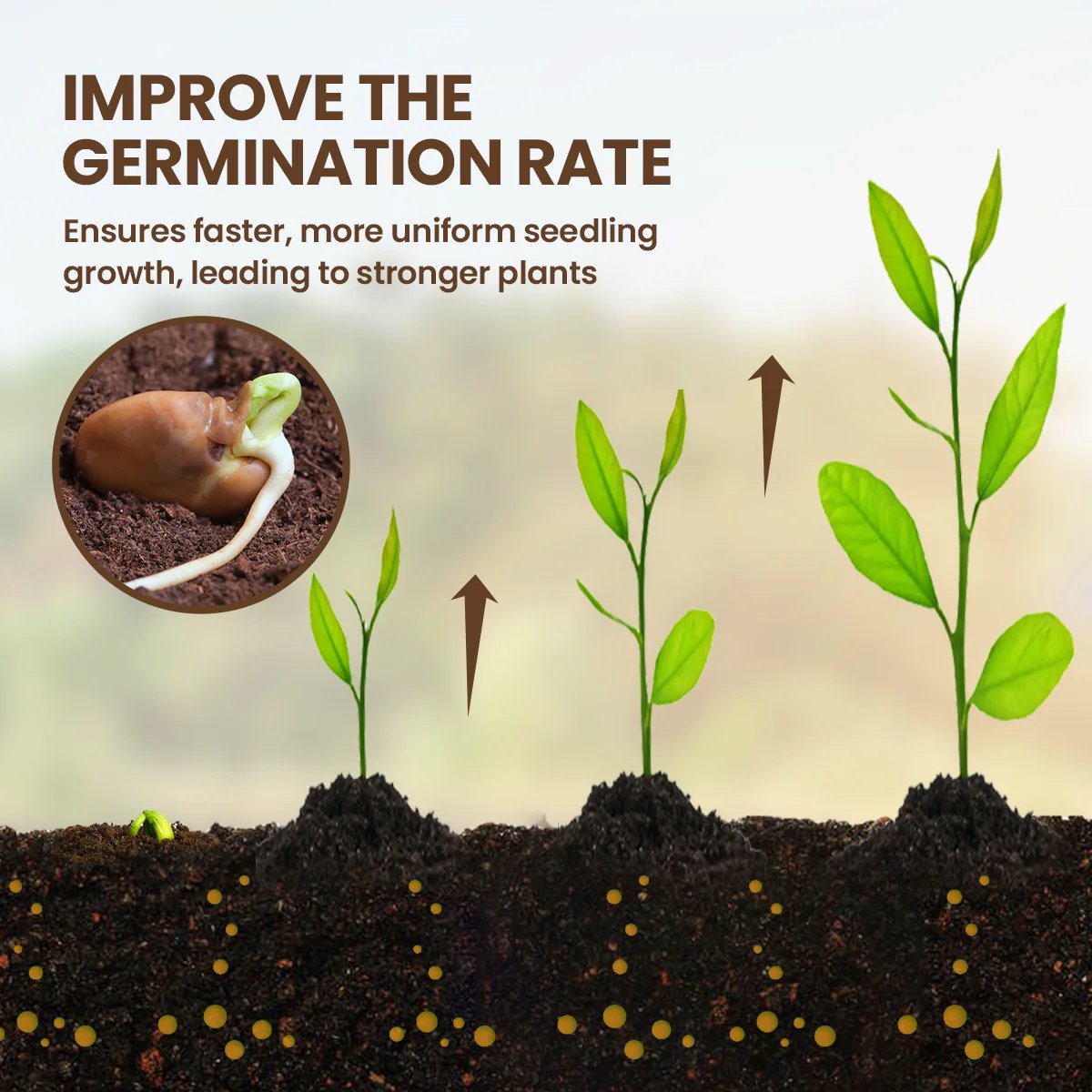Nutrient Booster 60g | Enhances Root Growth & Nutrient Uptake | Ideal for Garden and Potted Plants