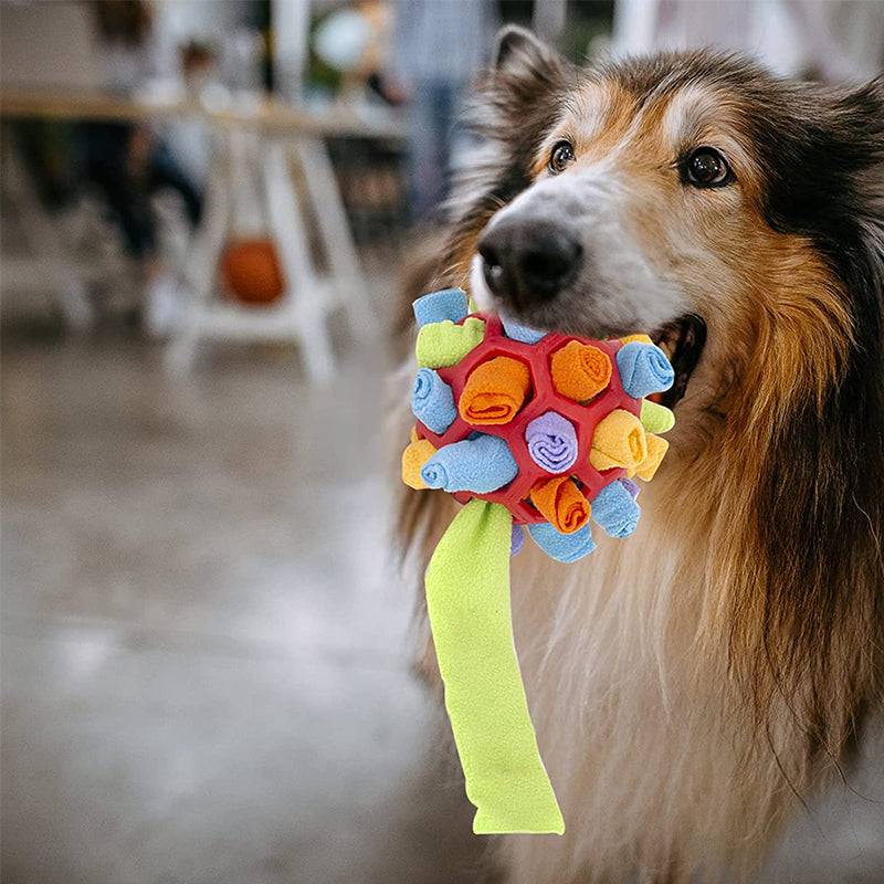 Chew Toy for Dogs