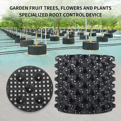 Propagation Pots for Fast Growth & Root Management | Bonsai & Garden