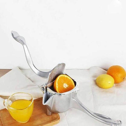 Stainless Steel Juicer – Buy 2 for Free Shipping