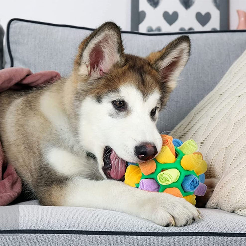 Chew Toy for Dogs