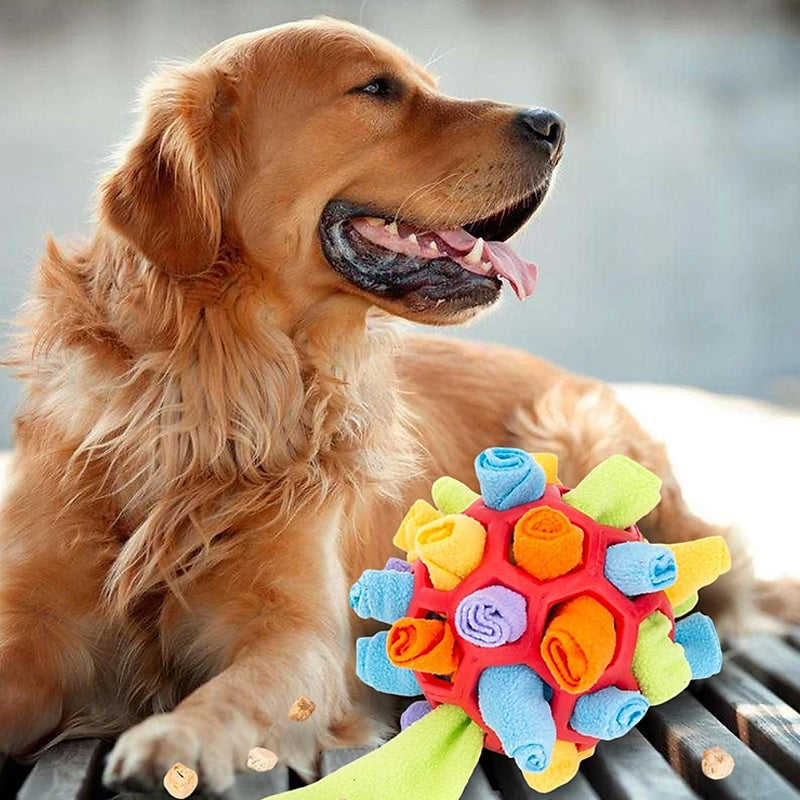Chew Toy for Dogs