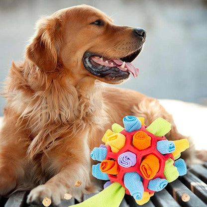 Chew Toy for Dogs