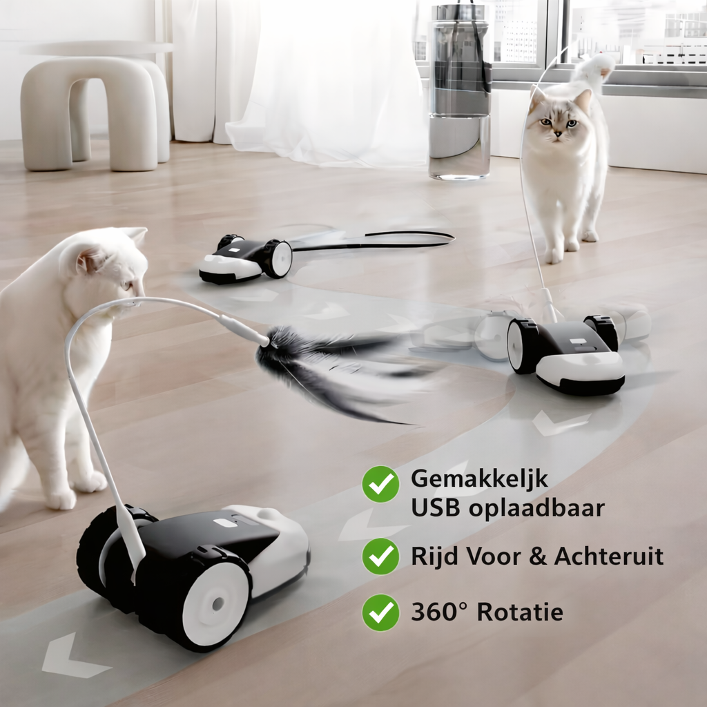 Cat Activity Toy – Keeps Your Feline Engaged and Entertained