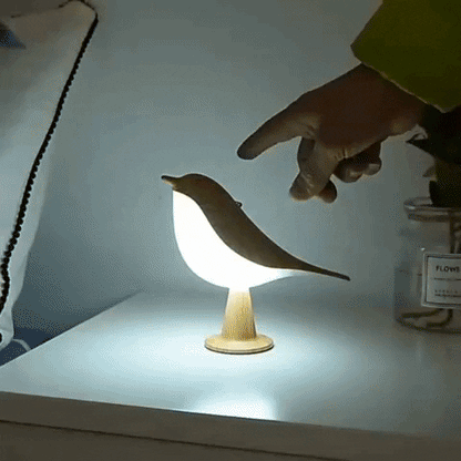 Gentle Light and Aromatherapy for Instant Relaxation