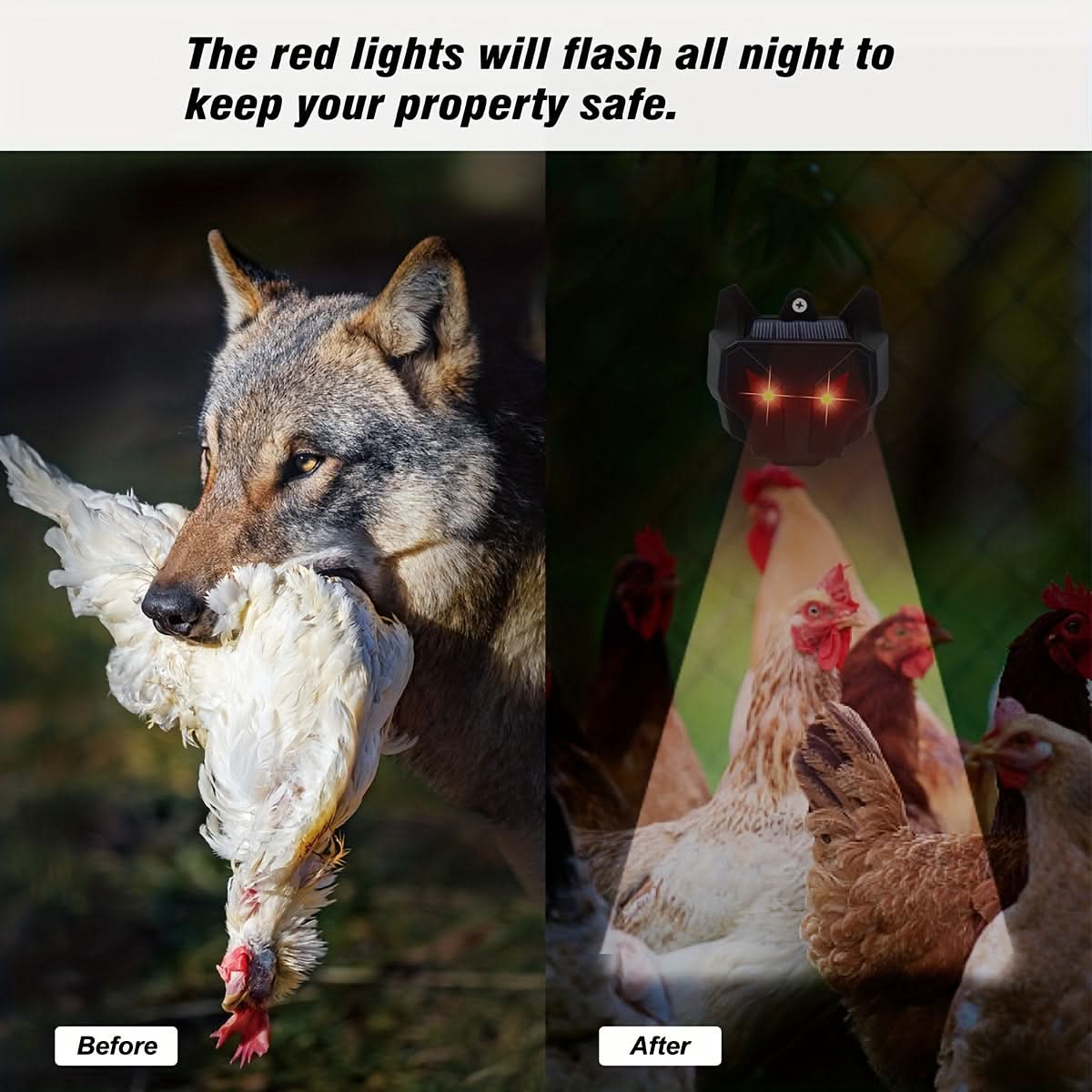 Solar-Powered Animal Deterrent