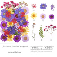 A Field of Lively Flowers (40 Blooms)