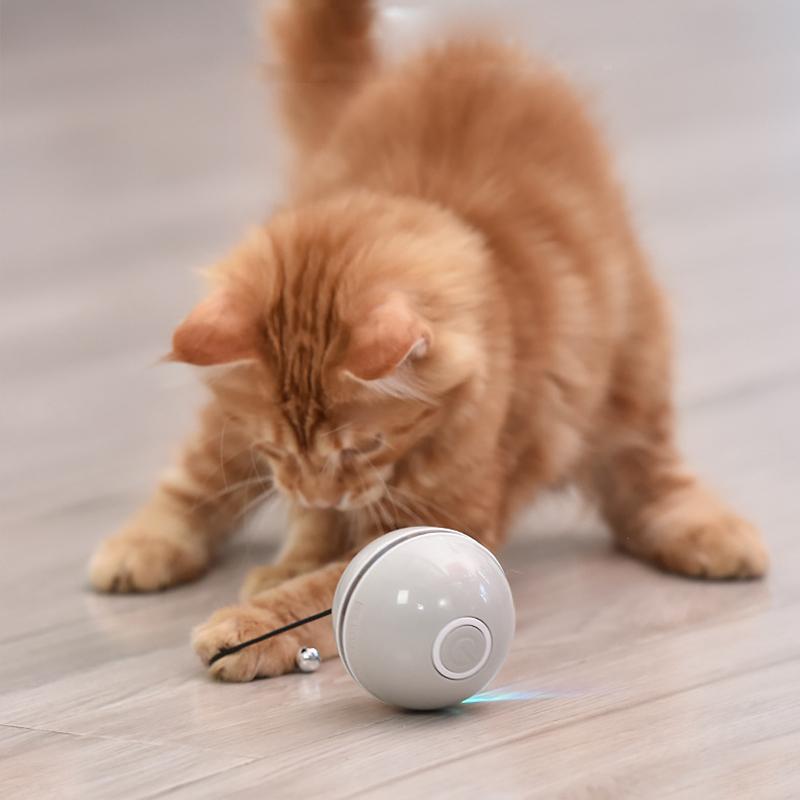Endless Fun Toy for Keeping Your Cat Active and Happy