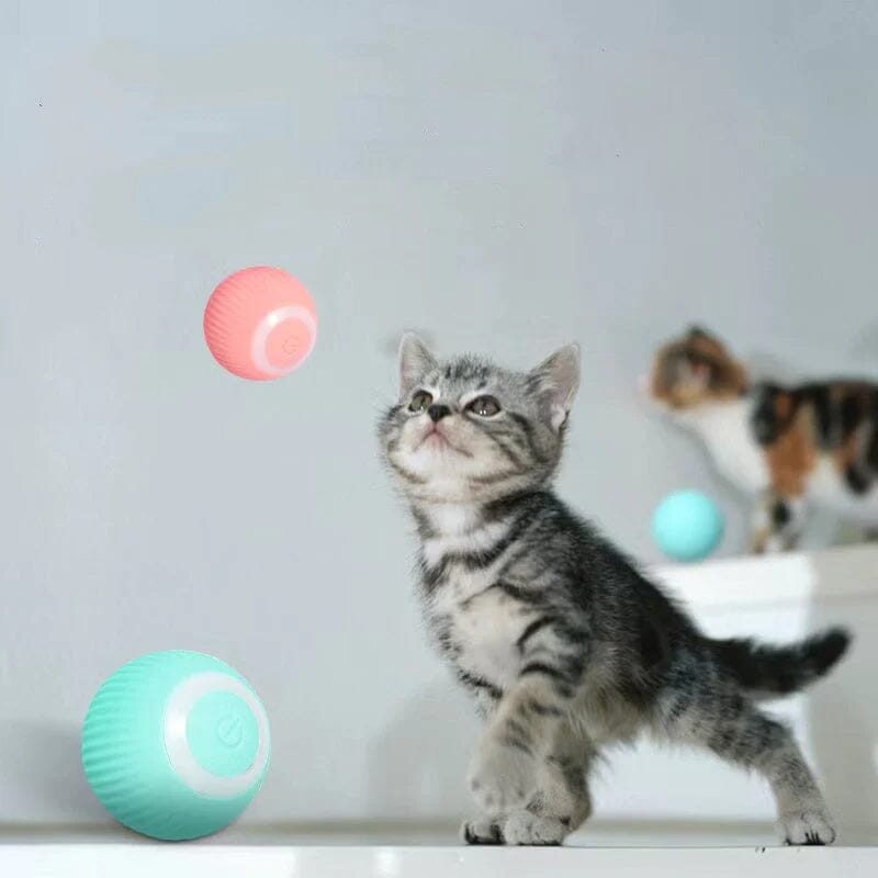Electric Self-Rolling Cat Toy - KittyBall with 50% Discount