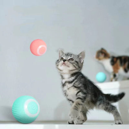 Electric Self-Rolling Cat Toy - KittyBall with 50% Discount