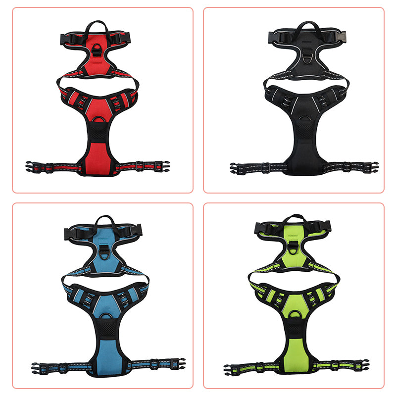 Ultimate 3-in-1 Dog Walking Solution | PupEase