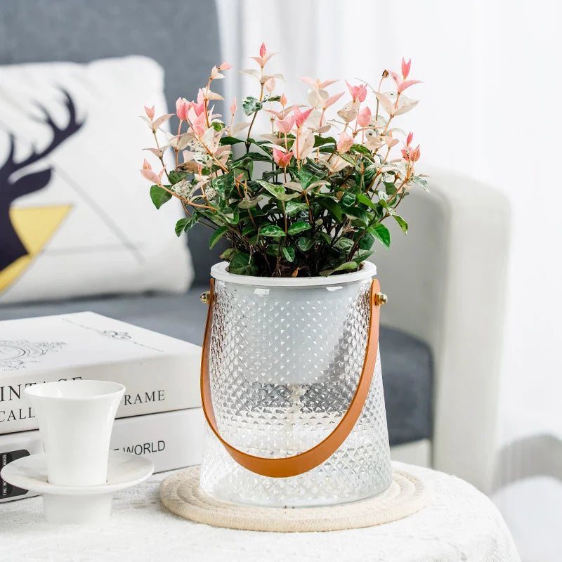 Hydroponic Plant Pot – Keep Your Houseplants Hydrated All Day Effortlessly