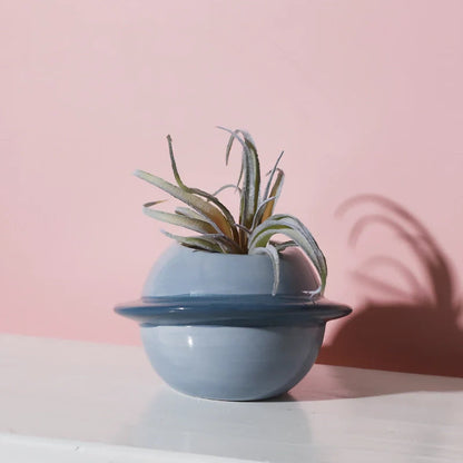 Instant Shine for Any Room with Vibrant Charm